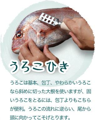 Kao Plaza 特集 冬 魚料理を楽しもう