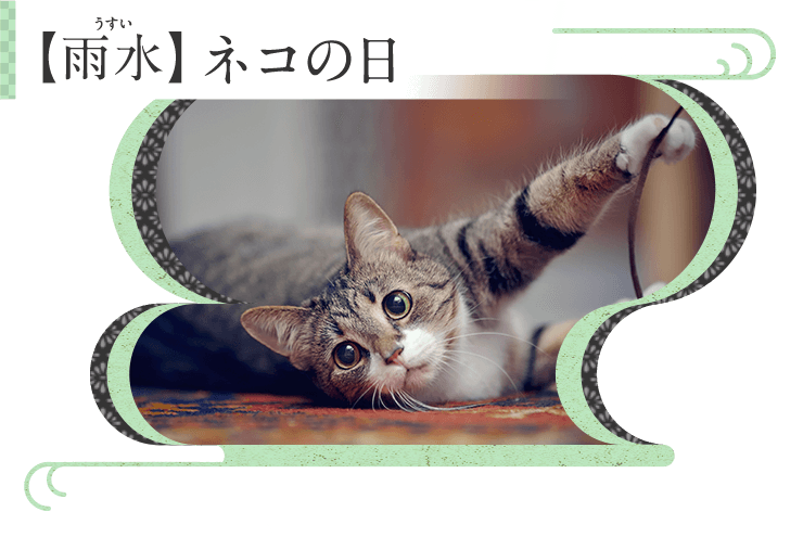Kao Plaza みんなのホーホー くらし歳時記 雨水 ネコの日 Kao Plaza みんなのホーホー くらし歳時記 雨水 ネコの日