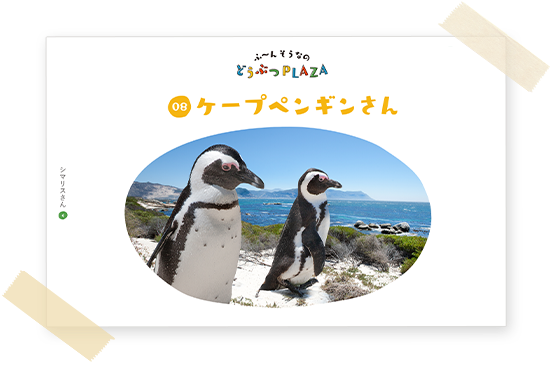 Kao Plaza Kao Plazaの往復書簡 Kao Plaza Kao Plazaの往復書簡