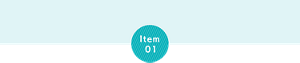 Item01