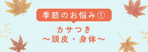 季節のお悩み① カサつき～頭皮・身体～