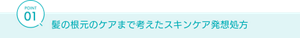 POINT01 髪の根元のケアまで考えたスキンケア発想処方