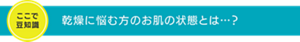乾燥に悩む方のお肌の状態とは…？