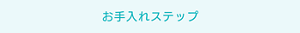お手入れステップ