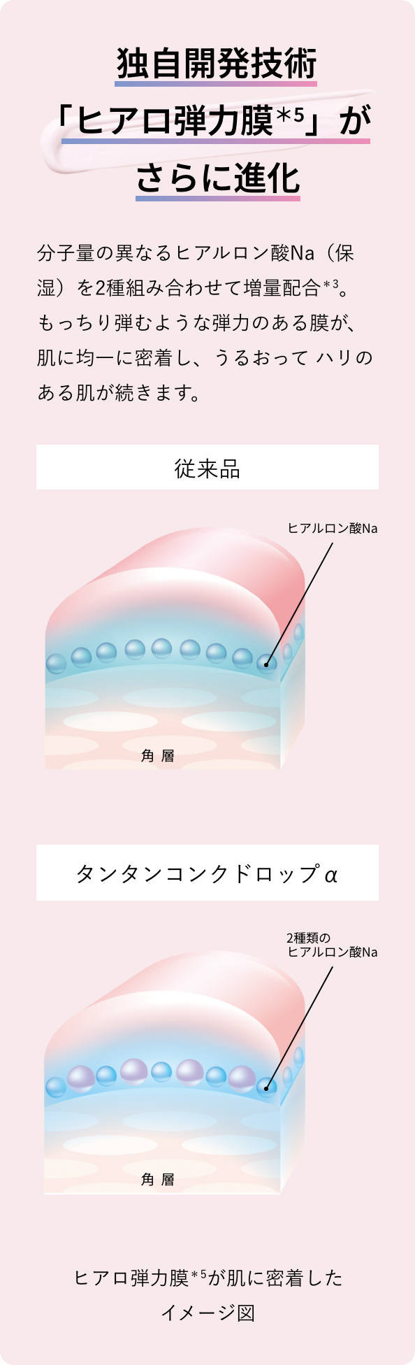 独自開発技術「ヒアロ弾力膜*4」がさらに進化