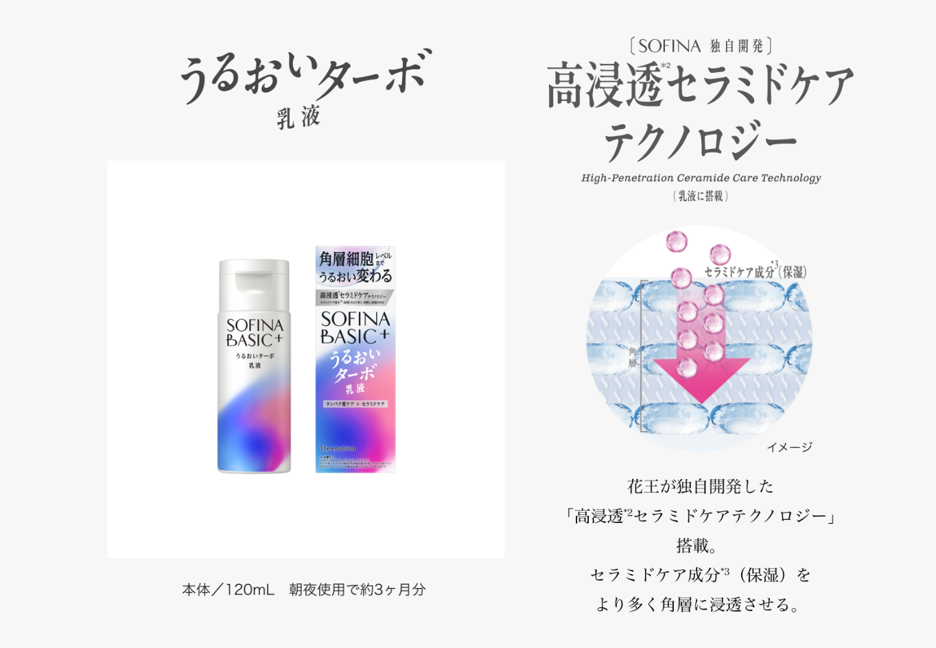 うるおいターボ 乳液 本体／120mL 朝夜使用で約3ヶ月分 〔SOFINA 独自開発〕高浸透*2セラミドケアテクノロジー High-Penetration Ceramide Care Technology（乳液に搭載） 花王が独自開発した「高浸透*2セラミドケアテクノロジー」搭載。セラミドケア成分*3（保湿）をより多く角層に浸透させる。