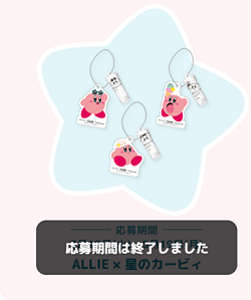 応募期間は終了しました