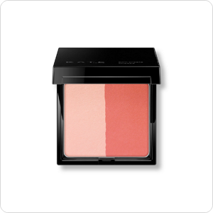 ケイト　スリムクリエイトチークス　ＲＤ－１