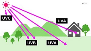 紫外線の種類