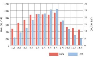 紫外線量_250829