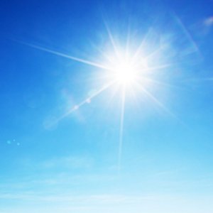 強い日差しが照り付ける様子