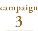campaign3