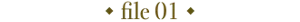 file 01