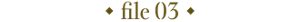 file 03
