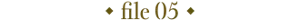 file 05