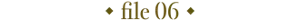 file 06