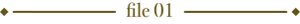 file01