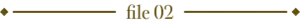 file02