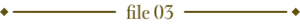 file03