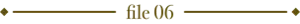 file06