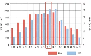紫外線量の年間変動のグラフ