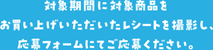 対象期間を対象商品をお買い上げいただいたレシートを撮影し、応募フォームにてご応募ください。