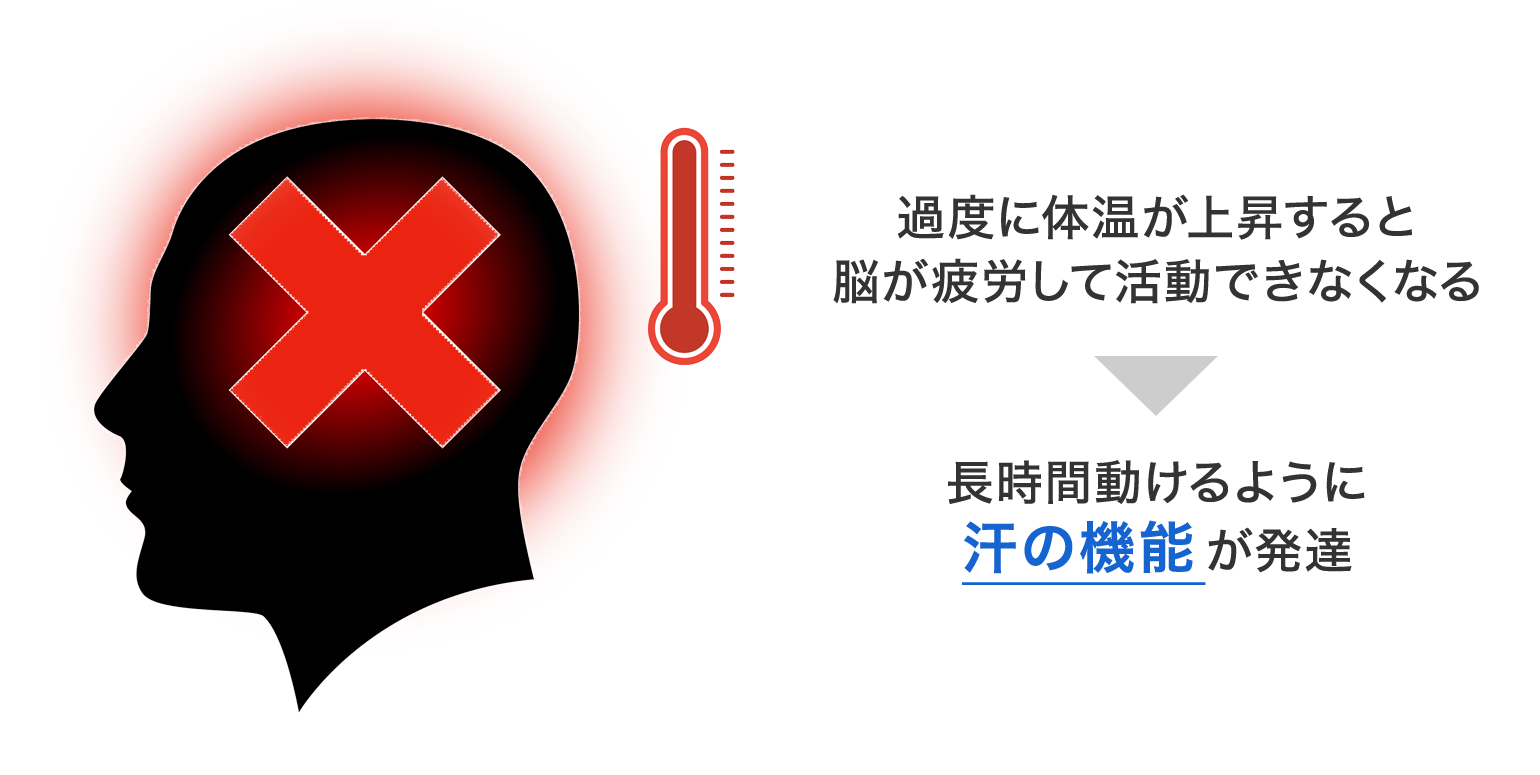 知っておきたい汗のチカラ｜知りたい！汗とニオイ｜ニベア花王