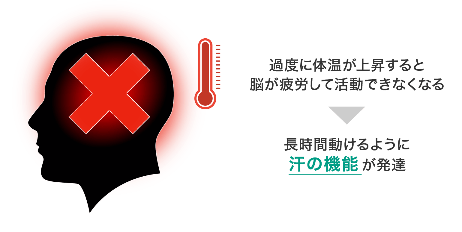 知っておきたい汗のチカラ 汗ケアラボ ニベア花王 8x4 知っておきたい汗のチカラ 汗ケアラボ ニベア花王 8x4
