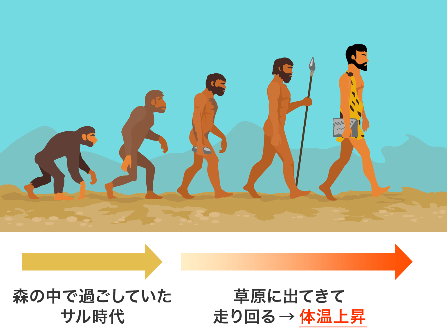 汗の基礎知識 何のために汗はあるのか 汗ケアラボ ニベア花王 ８x４