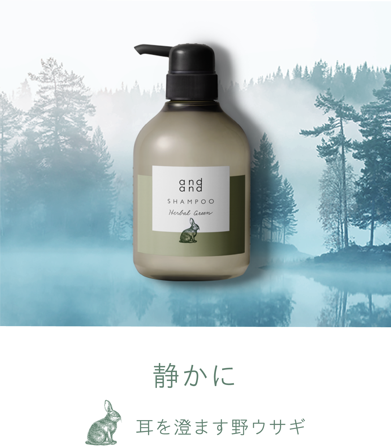 花王株式会社 And And 商品詳細 花王株式会社 And And 商品詳細