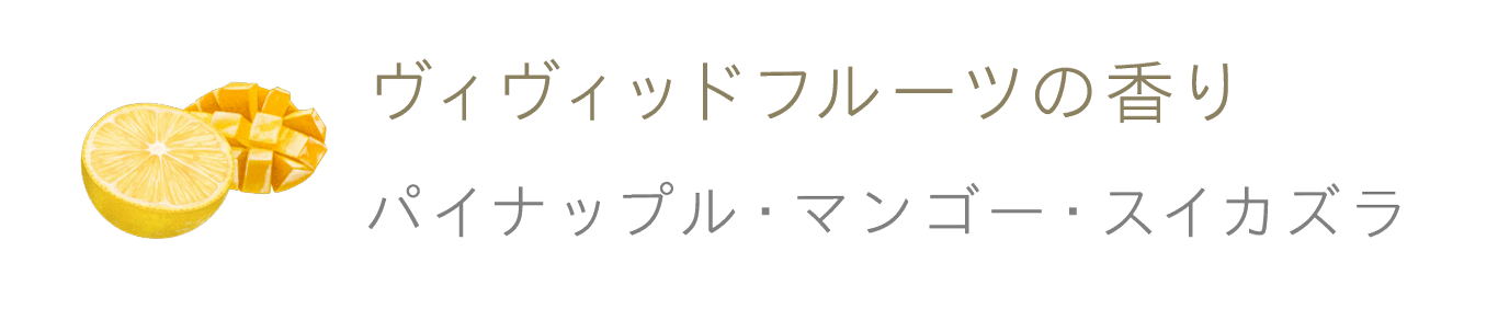 花王株式会社 And And 商品詳細