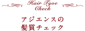 アジエンスの髪質チェック