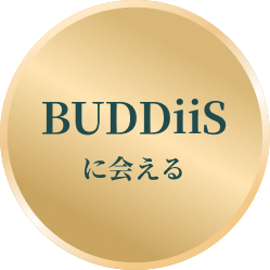 BUDDiiSに会える