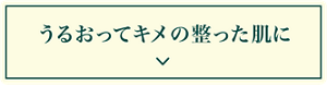 うるおってキメの整った肌に