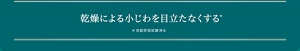 効能評価試験済み　乾燥による小じわを目立たなくする