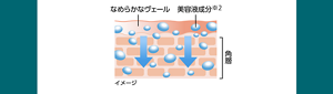 なめらかなヴェール　美容液成分