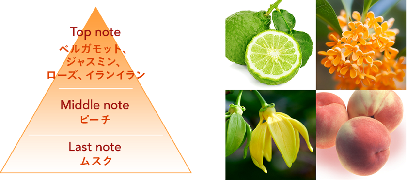 アトリックス ビューティーチャージ｜商品ラインナップ｜ニベア花王 atrix