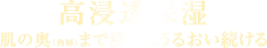 高浸透保湿 肌の奥（角層）、まで浸透しうるおい続ける