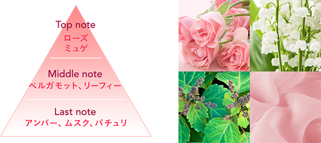 アトリックス ビューティーチャージ｜商品ラインナップ｜ニベア花王 atrix