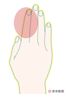 塗布範囲のイラスト。指の爪から第二関節に塗布。