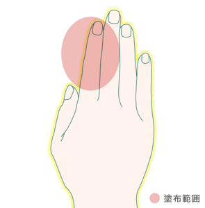 塗布範囲のイラスト。指の爪から第二関節に塗布。