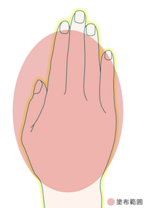 塗布範囲のイラスト。手の甲全体に塗布。