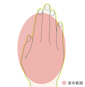 塗布範囲のイラスト。手の甲全体に塗布。