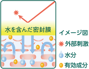 水を含んだ密封膜と角層イメージ。密封膜で外部の刺激から守り、水分と有効成分を角層に浸透。