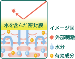 水を含んだ密封膜と角層イメージ。密封膜で外部の刺激から守り、水分と有効成分を角層に浸透。