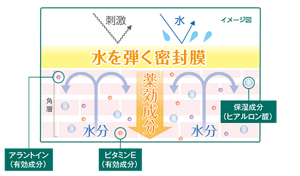 水や刺激を弾く密封膜と角層イメージ。有効成分のアラントインとビタミンE、保湿成分のヒアルロン酸など薬用成分が角層へ浸透。
