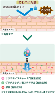 成分が浸透しにくいごわついた肌にクリームが角層に保湿成分や有効成分が浸透しているイメージ。