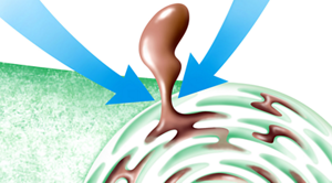 センイの奥の汚れ落としイメージ