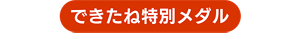 できたね特別メダル