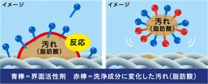 汚れが浮き出るイメージ